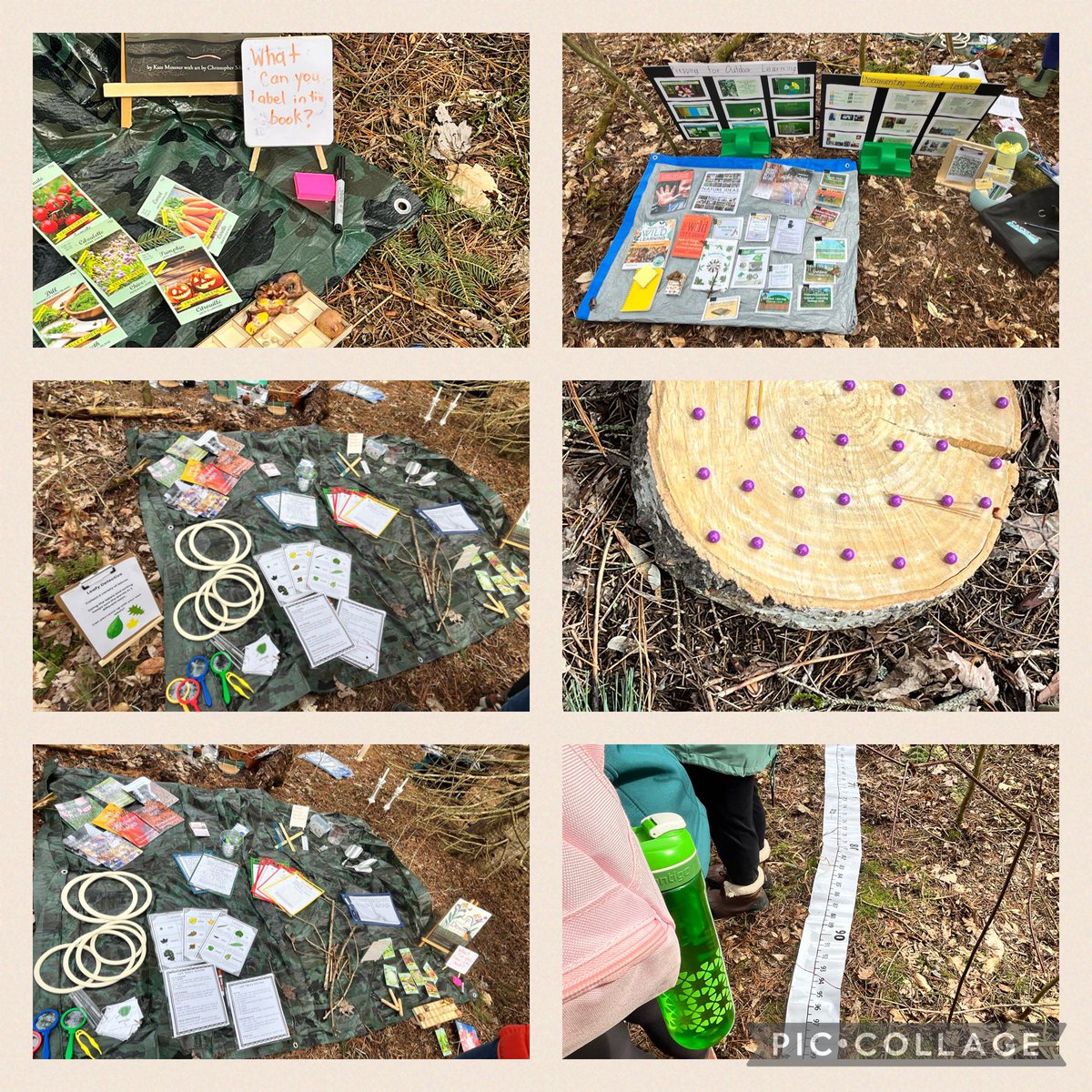 Rola Tibshirani (She/Her) tweet media