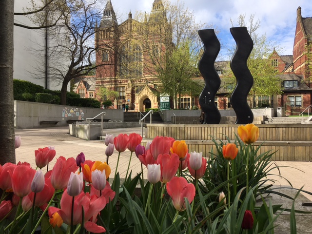 Erica di Martino (@ericadimartino2) on Twitter photo Campus looking very pretty in the sunshine on offer holders day! @LeedsUniLLC <a href="/UniversityLeeds/">University of Leeds</a> Campus looking very pretty in the sunshine on offer holders day! @LeedsUniLLC <a href="/UniversityLeeds/">University of Leeds</a>