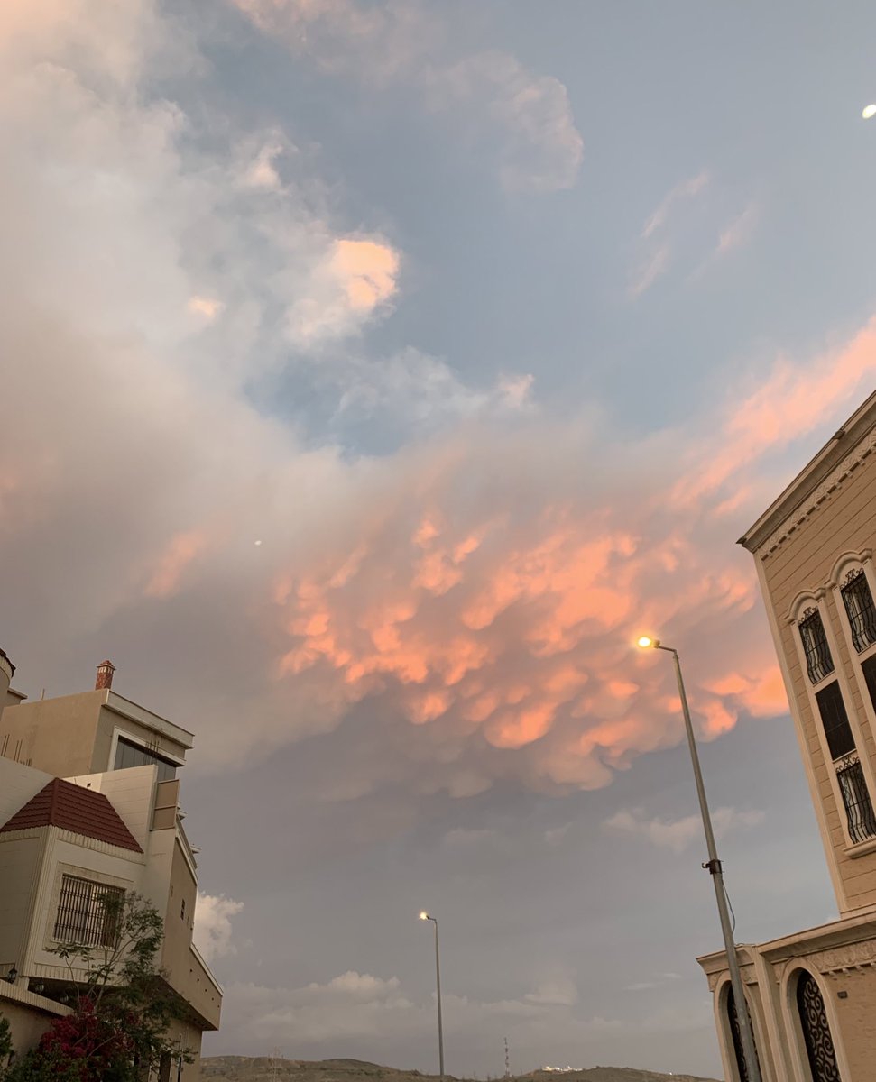Balqees_1227's tweet photo. @mo_7madh 🌅♥️.. https://t.co/qB3EuZdqZK
