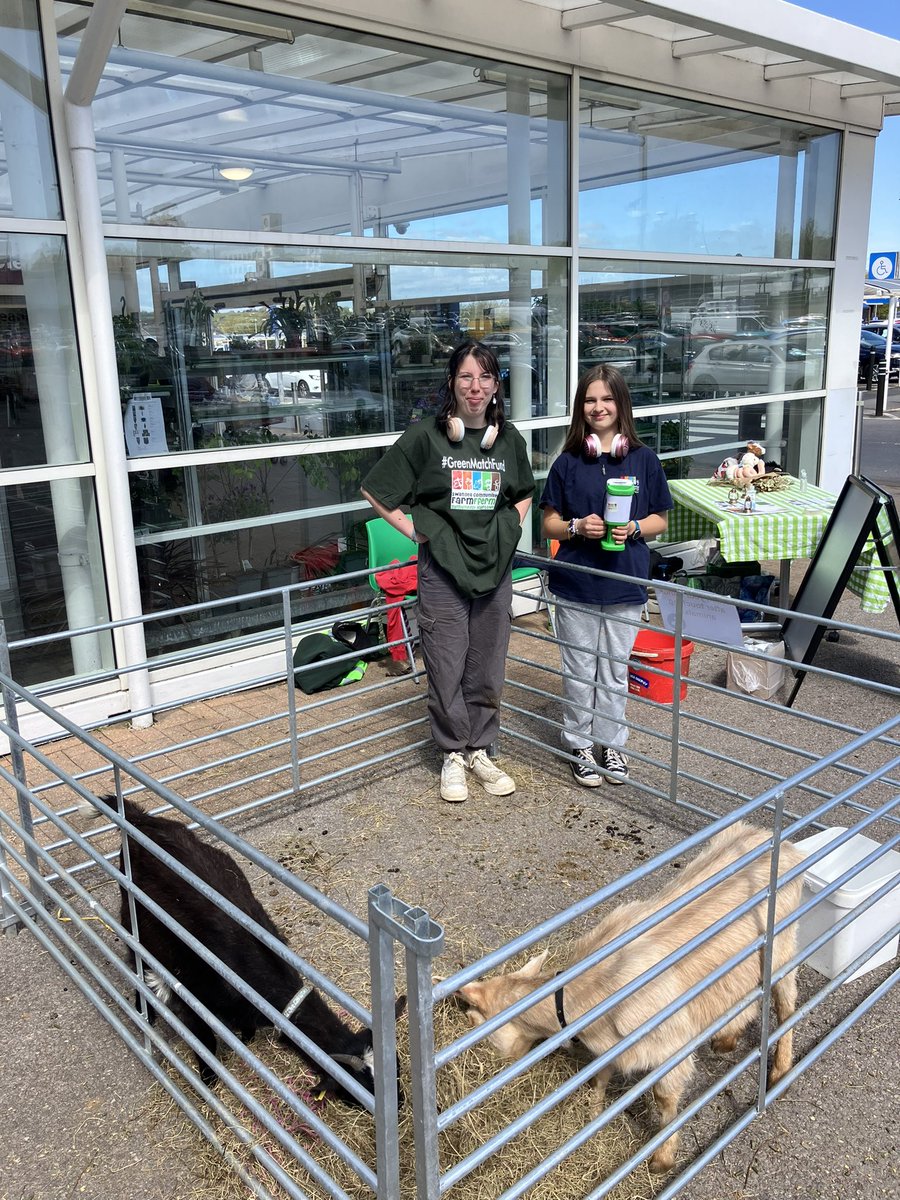 Our young volunteers raised an amazing £212 at @Tesco Fforestfach today. This will now be doubled by the @BigGive to £424! Amazing. Thank you to everyone who stopped by and donated to our campaign. donate.biggive.org/campaign/a0569… #GreenMatchFund #biggive