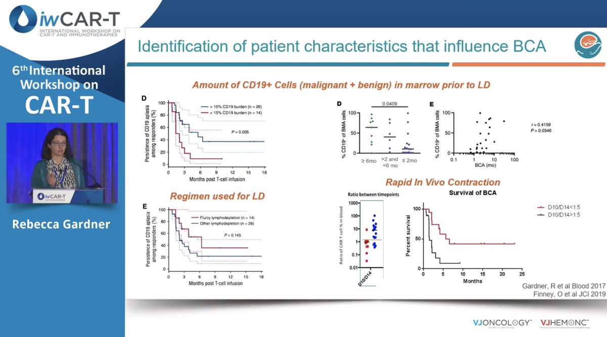 VJHemOnc's tweet photo. Next at #iwCART24 @R_L_Gardner (@UW) presents SCRI-CAR19 with CD19 T-APC to prolong CAR T-cell persistence. 

Exciting progress in CAR-T therapy! 

@VJHemOnc #iwCART #CART #CellularTherapies #ALL #Leusm https://t.co/knH3JhcxEa