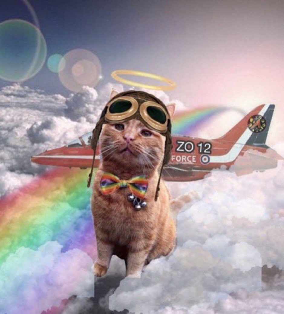 Angel Capn Otto - Zulu Oscar 12 corlin in from #OTRB to join #TheAviators Tribute Flight to remember furpals n their owners who hav passed. Dere ar so so many of dem 😿  Also poor furpals who had no hoamz or luv *shouts* we luv yoo orl herez #OTRB 🌈 OVR