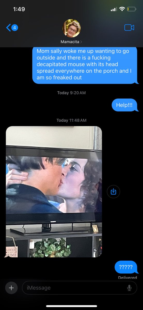 millldro's tweet image. House sitting for my mom and it’s going well