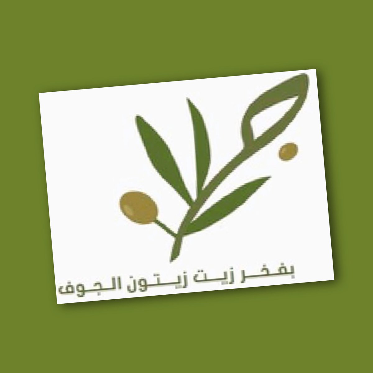 Aljofolive's tweet photo. #الهيئة_السعودية_للملكية_الفكرية تمنح جمعية منتجي الزيتون بمنطقة الجوف
#الملكية_الفكرية 
تحت براند #بفخر_زيت_زيتون_الجوف

🌱🌱🌱🌱🌱🌱🌱🌱🌱🌱🌱 https://t.co/ajOd5ni5v0