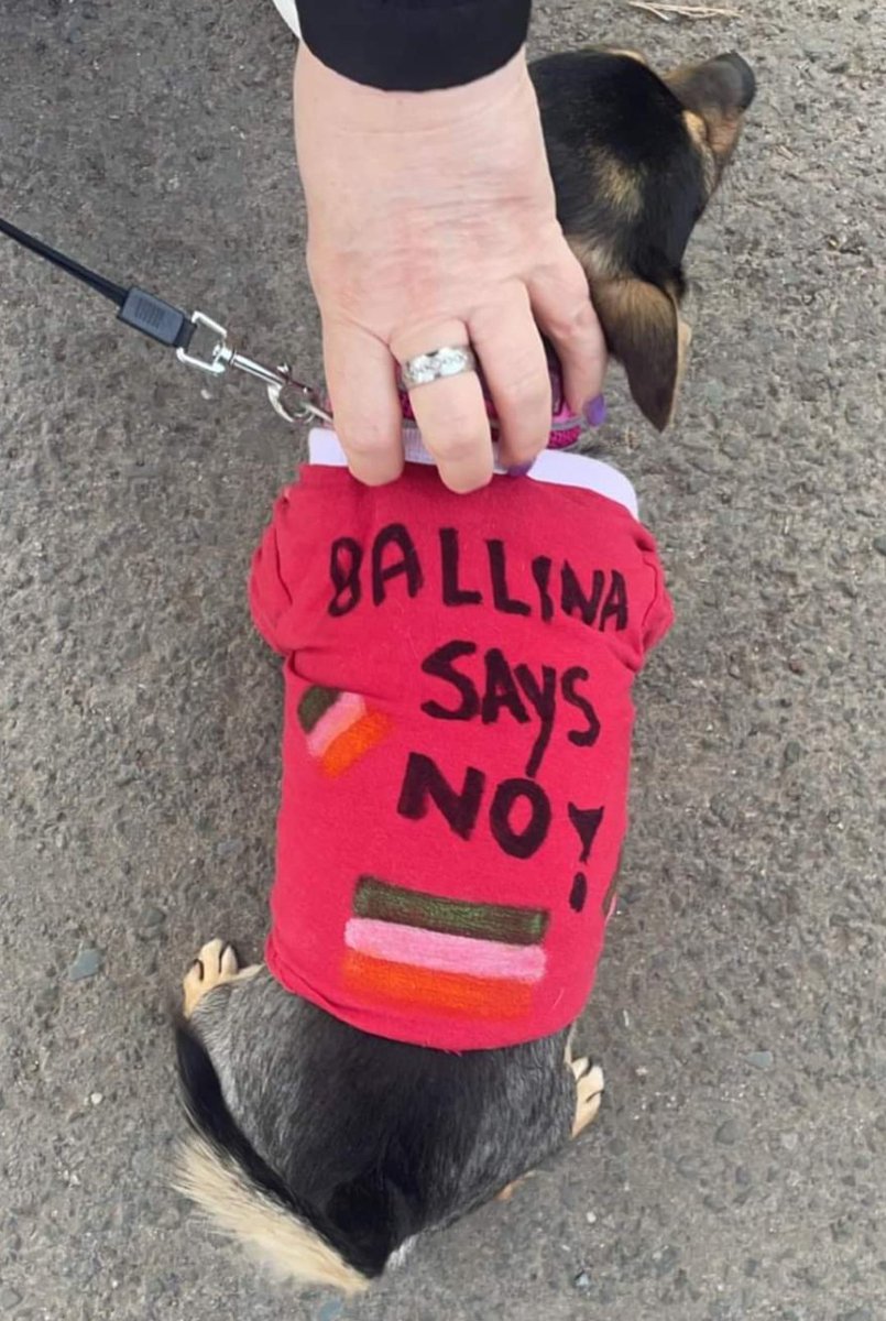 Even the dogs on the street know what is going on, #BallinaSaysNo