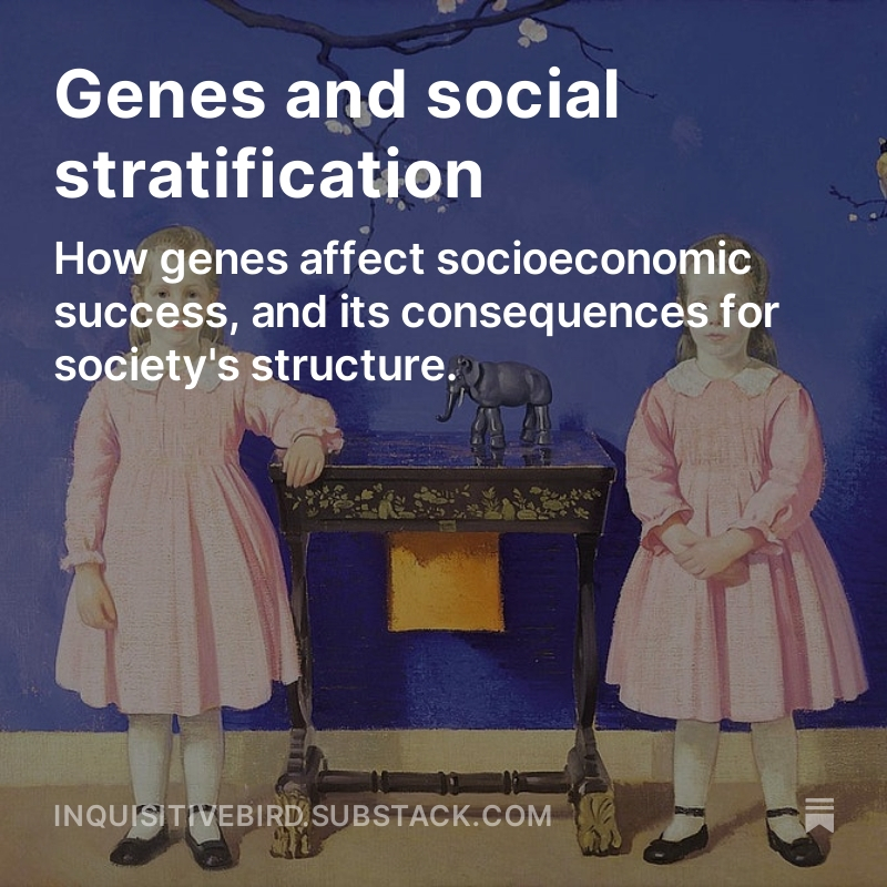 In a previous post, I discussed the effect of nurture on social outcomes. Now I have written a larger follow-up, discussing how genes affect socioeconomic outcomes, and how this impacts differences between social classes, schools, regions and more.