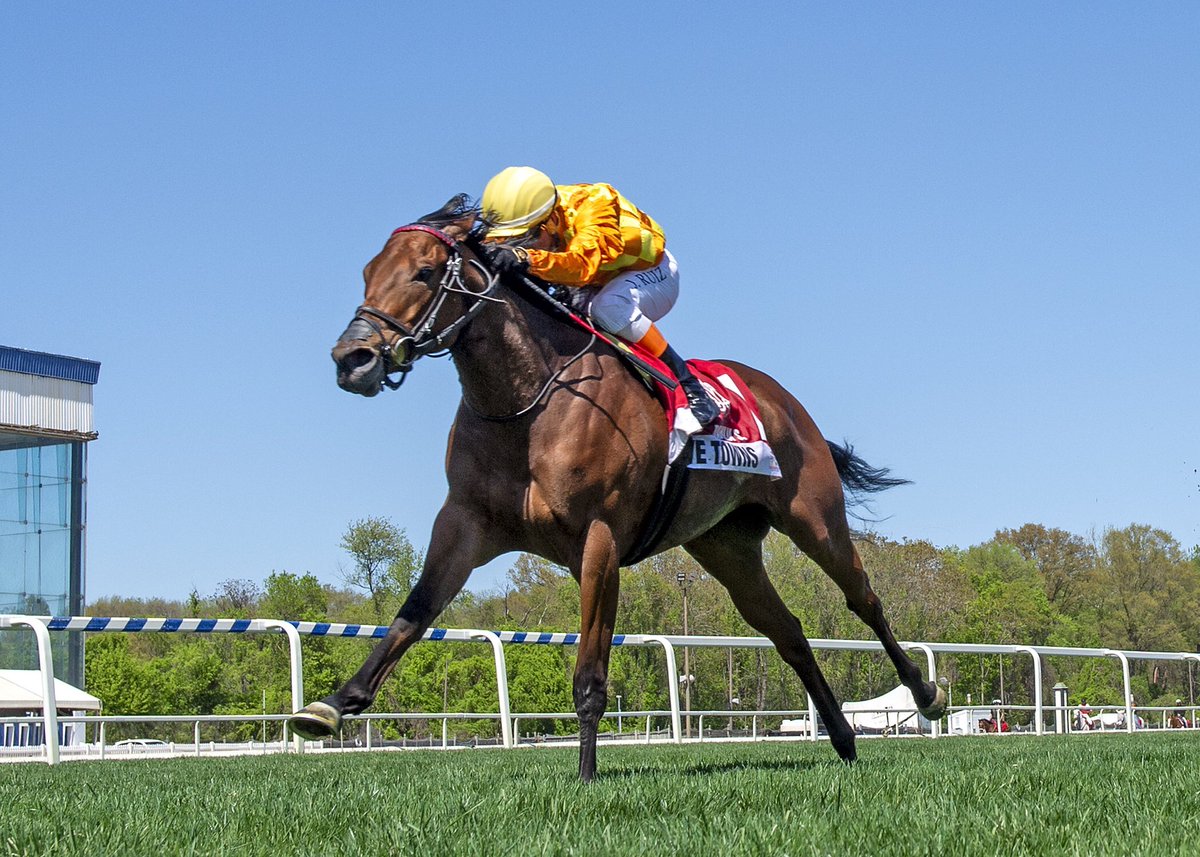 Five Towns angles off rail just in time, goes widest and collars leaders under @jorgeruizjockey to win Dahlia S. at one mile on grass @LaurelPark. Back-to-back wins for 4YO Lord Kanaloa filly trained by @GrahamMotion for B/O Merry Fox Stables/Stud. (Jerry D. 📷)