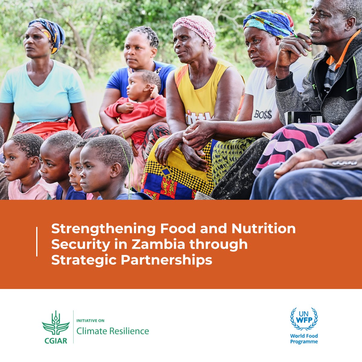 📢 🤝 @CGIAR and @WFP renew their commitment to strengthen food security through a new partnership between the #ClimateResilienceInitiative and @WFP_Zambia  to build climate resilience locally. 
🔎 on.cgiar.org/3U8kIin 
#OneCGIAR #foodsecurity #ClimateResilience @WFP_SAfrica