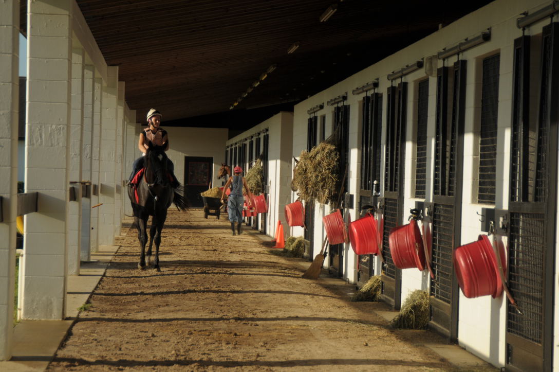 THANK YOU to all of our buyers at the Spring @OBSSales and good luck! We'll be rooting for you! We'll see you again soon at #OBSJune: Under Tack on June 3-8 Sale on June 11-13