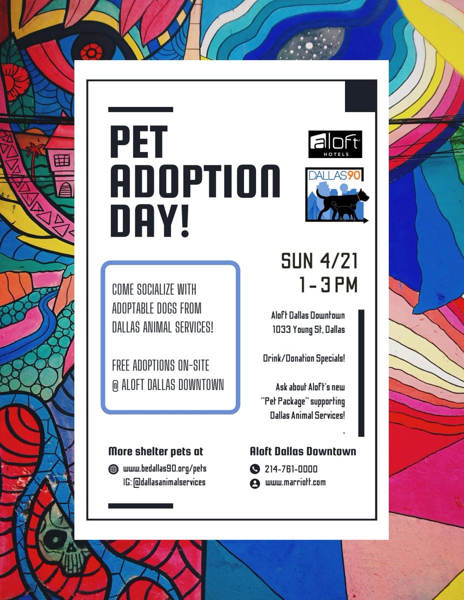 This Sunday! Free adoptions at Aloft Hotel in downtown Dallas from 1 - 3 pm. Details: bedallas90.org/upcoming-event…