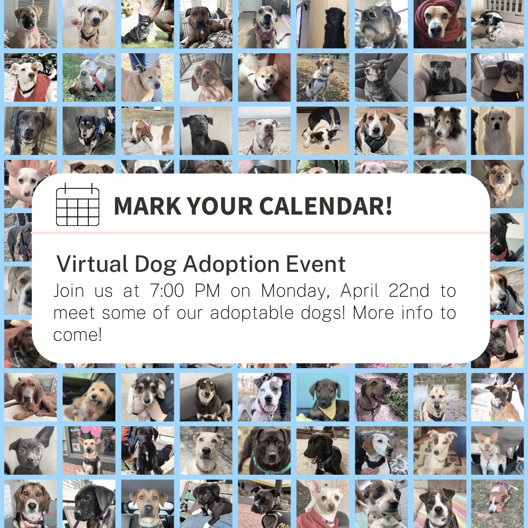 Missed us at today's meet & greet? Don't worry! You can still learn more about our adoptable pups at our VIRTUAL event this Monday a 7pm on Facebook, Instagram, and YouTube Live!
