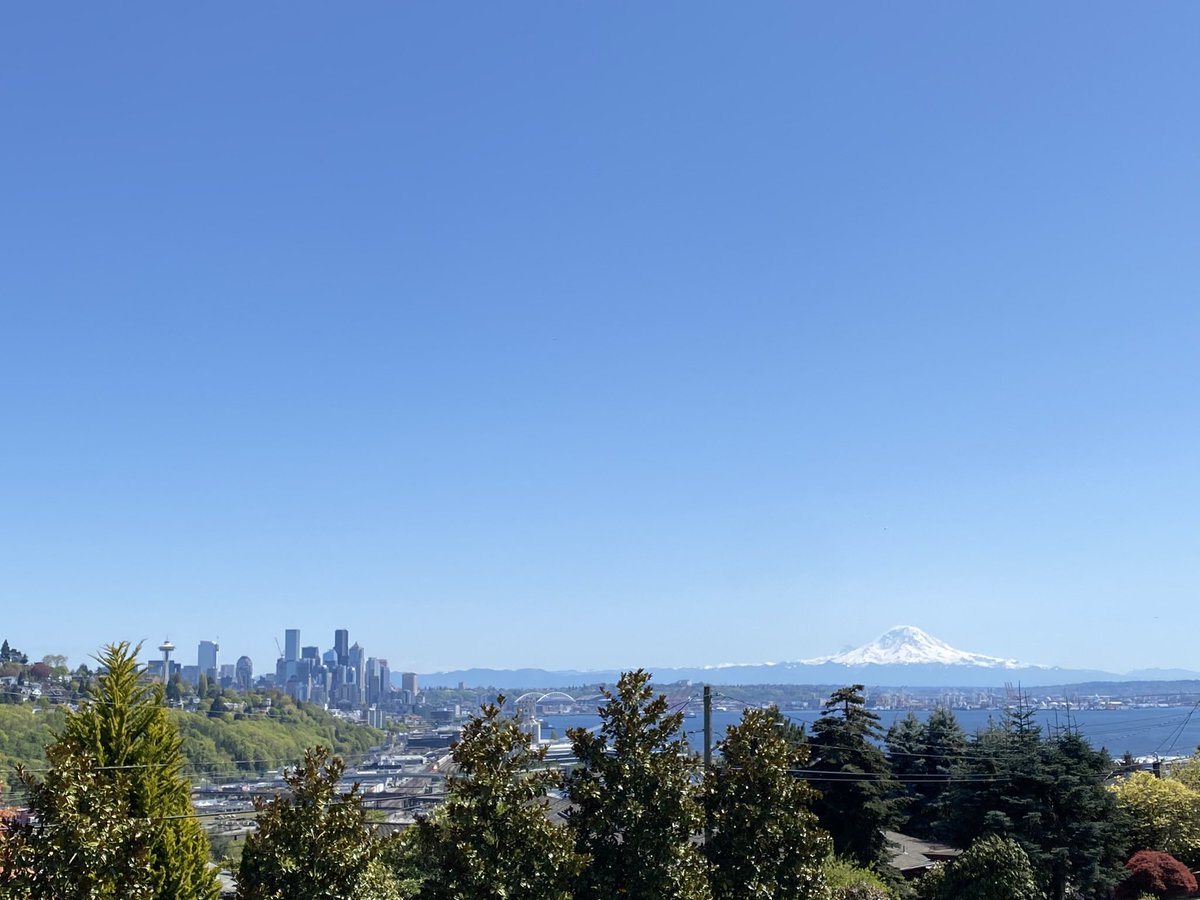 It’s perfect walking weather today! 😎 #seattlewx