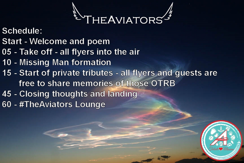 Here is our schedule for today's tribute flight. Your Missing man formation will be led by @Lucky_GSD #TheAviators