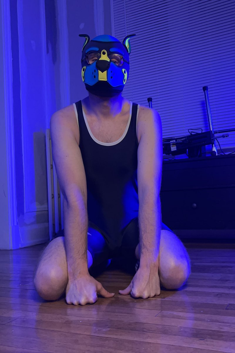 Pup Spark tweet media