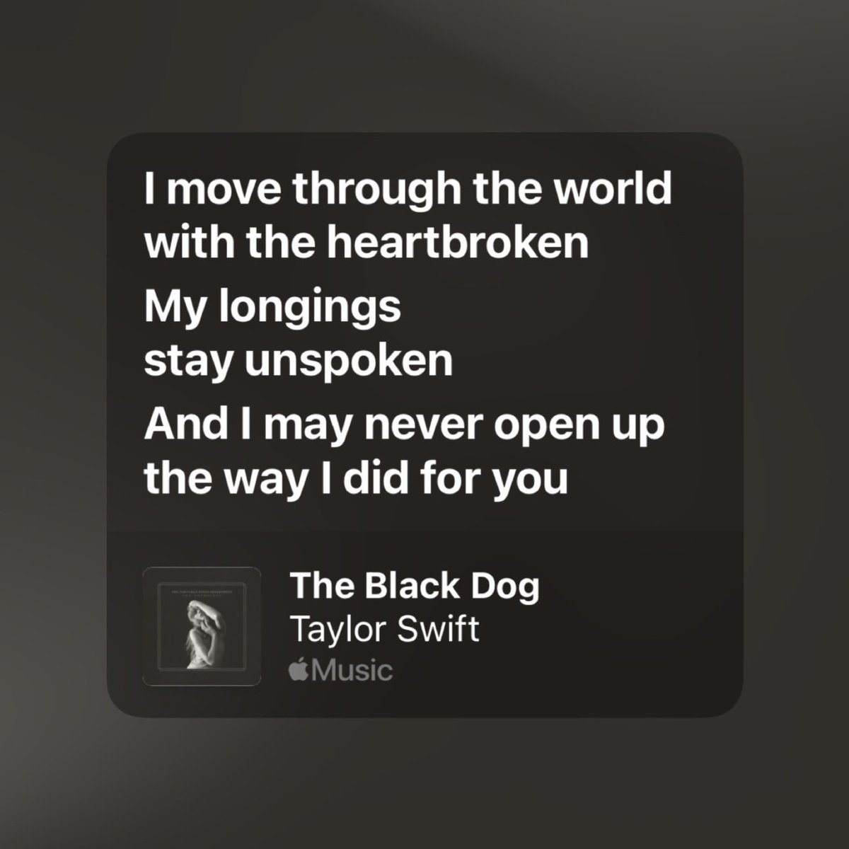 The Black Dog “I move through the world with the heartbroken, my longings stay unspoken and I may never open up the way I did for you (…) And it kills me, I just don’t understand how you don’t miss me.”