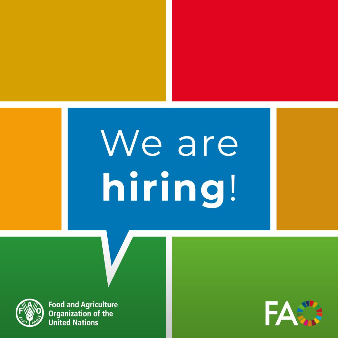 #JobOpportunities

@FAO is seeking highly experienced candidates for the position of Director for Human Resources Division (D2) based at our HQ in Rome.

⌛️Deadline of application : May 07

👉bit.ly/4aqMddT

#UNJobs