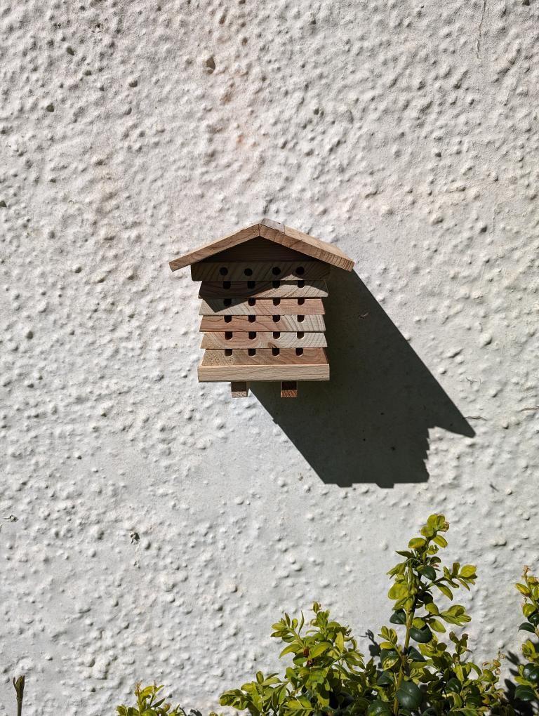 This Solitary Bee Hive can be yours for just £12.99! 🐝🐝🐝 You can even use your new bee hotel to take part in the @The_Buzz_Club #TheBigBeeHotelExperiment! Follow the link to buy yours and find out about the #CitizenScience project taking place. 📷 @naturebynommo