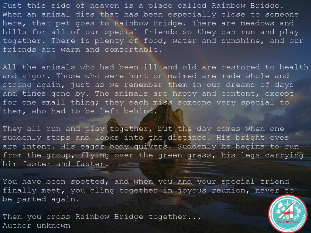 Before we take to the skies, please take a moment to read about the Rainbow Bridge.  #TheAviators