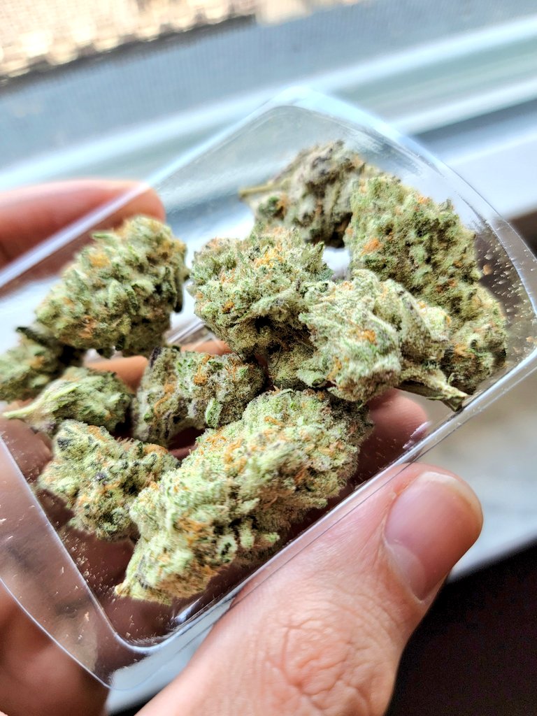 Cewpins is High tweet media