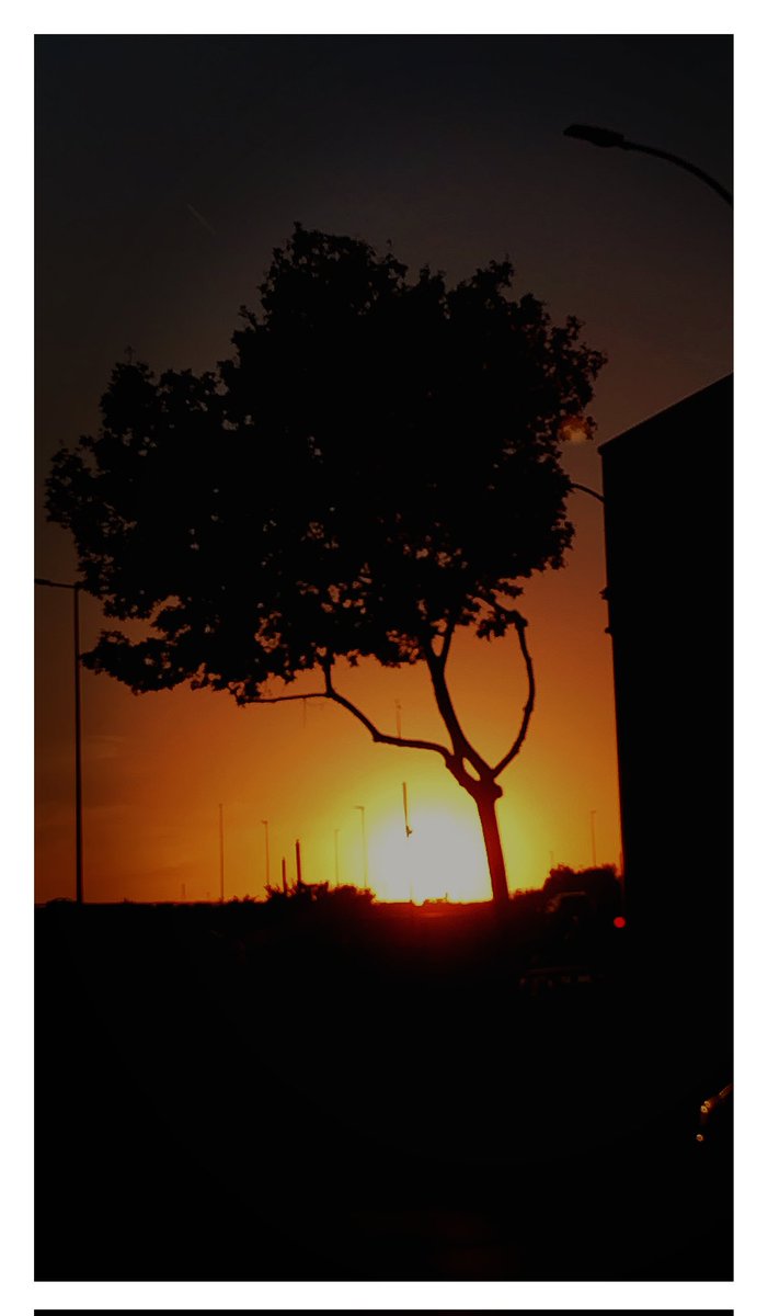 #FelizTarde #sunsetphotography #streetphoto