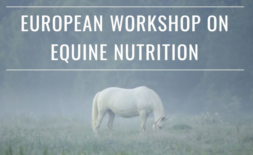 NEWS! - abstract deadline extended until 23:59 on 1st May 2024.

EWEN 2024:
"EQUINE NUTRITION: THE PAST, THE PRESENT &amp; THE FUTURE"