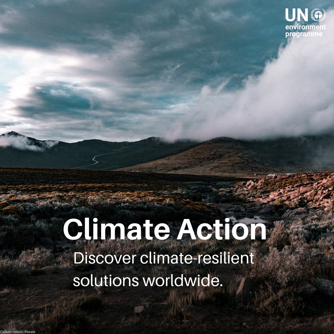 Creating a sustainable and better planet is a collective responsibility. Explore our climate action page and be inspired by initiatives around the world to address the climate emergency: unep.org/interactives/c…