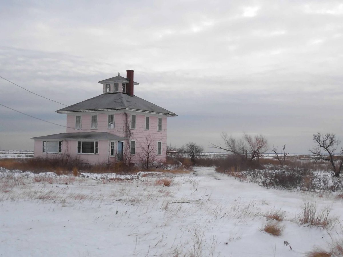 #alphabetchallenge #weekP The Pink House on the marsh leading to Plum Island, MA. Snowy owl on the roof. Locals are fighting to save it from demolition. It’s a favorite of photographers and painters but sits on federal land.