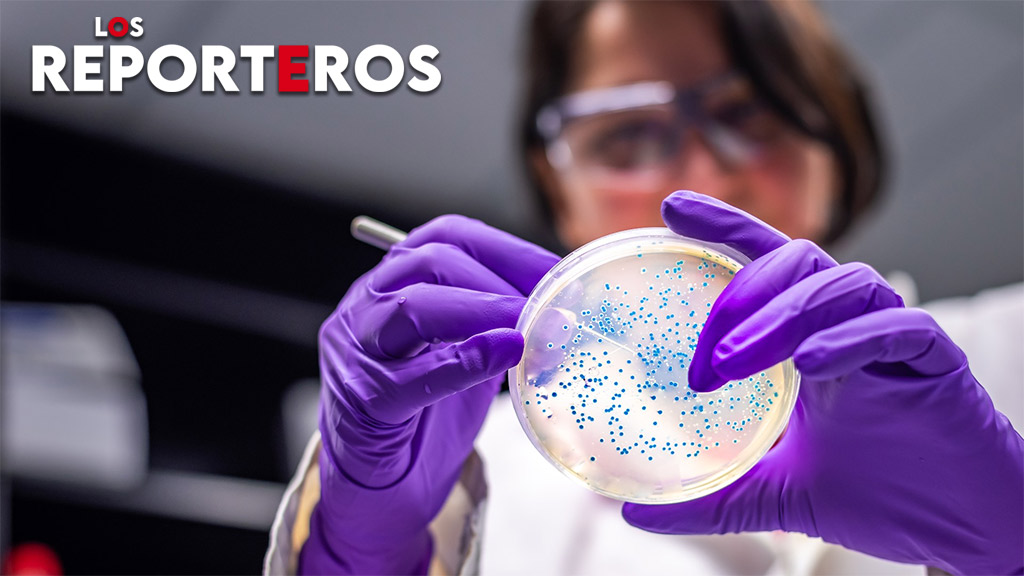 ⌚ 21:25 | 🔴 En breve, @losreporteroscs en CanalSur TV La investigación contra las bacterias multirresistentes y la potente explotación de yeso en 📍 Almería 🗣️ @mabelmata1 Emisión👉🏼 csur.red/a5P350Rkmq5 📲 #LosReporteros