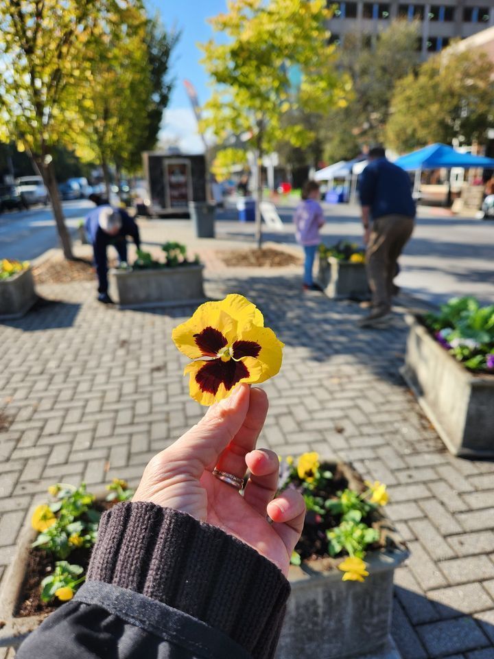 Embrace Earth Day this year by rolling up your sleeves with Chattanooga Parks & Outdoors for Earth Week Broad Street Landscape Support!🌍 Volunteers will help plant annuals in 50 planters on Broad Street to beautify downtown. To volunteer, sign up at buff.ly/3VUyckj