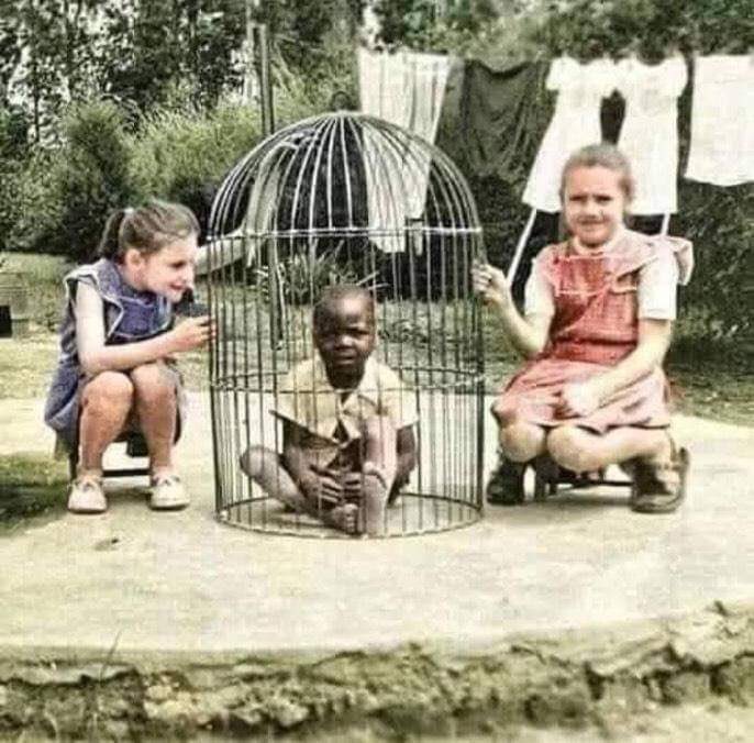 A picture from 1955 during the Belgian occupation of the Congo, when a father brought an African child in a cage to his children at home for entertainment.