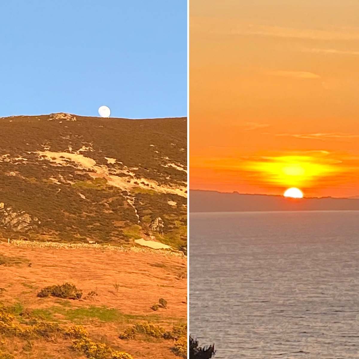 Simultaneous moonrise over Eryri (Snowdonia) and sunset over Ynys Mon (Anglesey) right now… #wales #cymru #vanlife