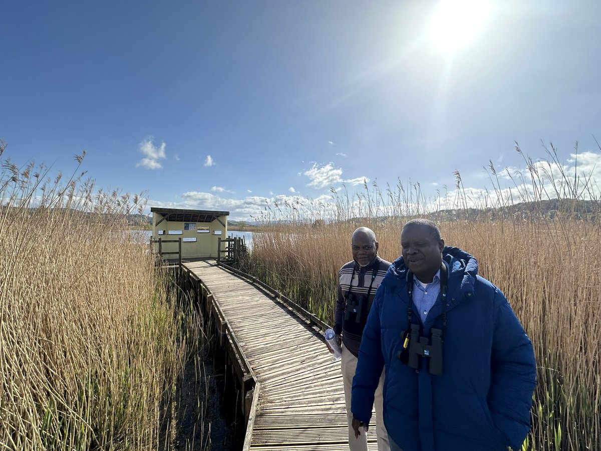 Dr Alexander Georgiev tweet media