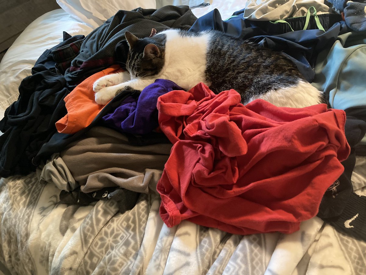 Austin Mituniewicz tweet media