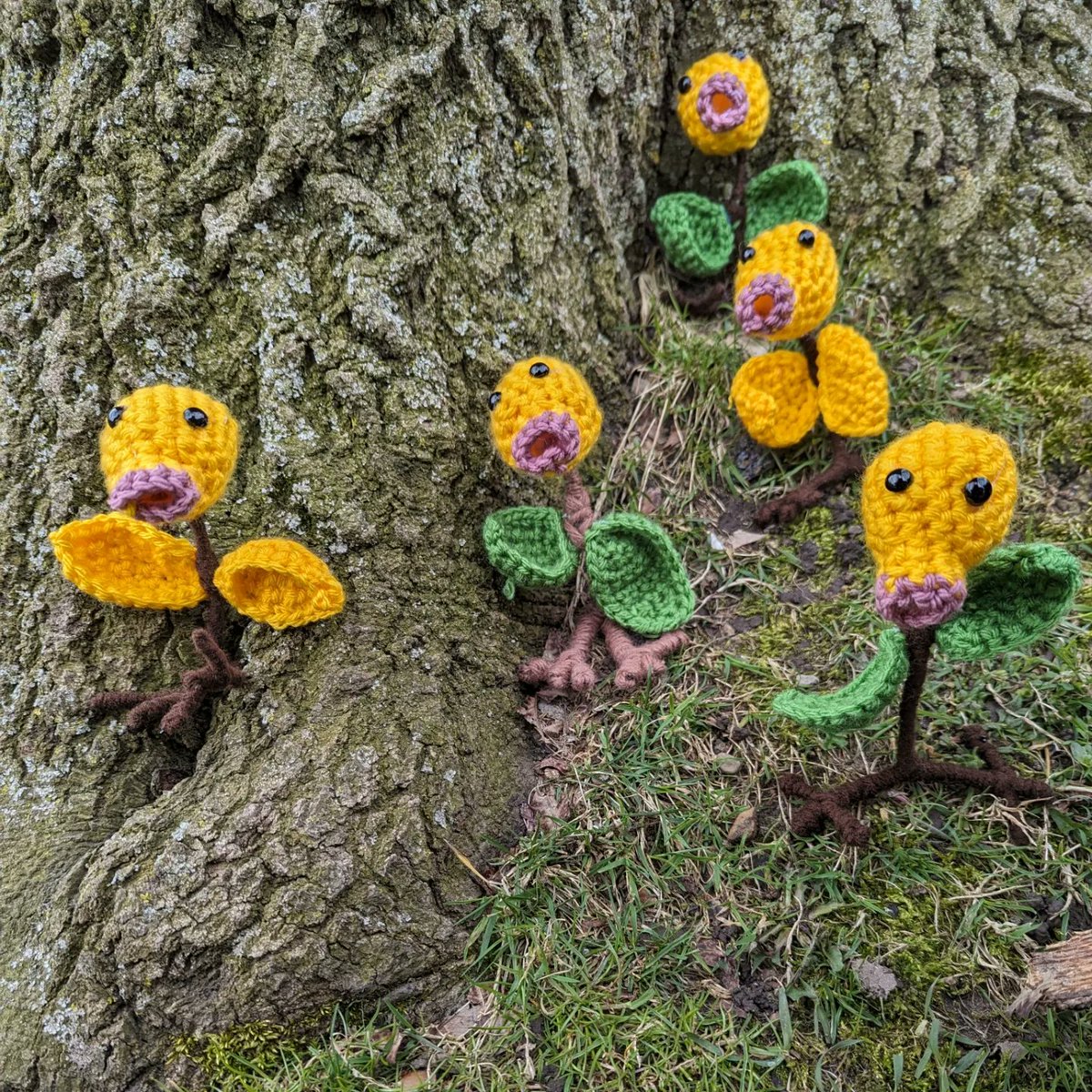 KatzersCreation's tweet image. Amigurumi Bellsprout and I living our best lives for #PokemonGOCommunityDay #PokemonGOApp #Bellsprout