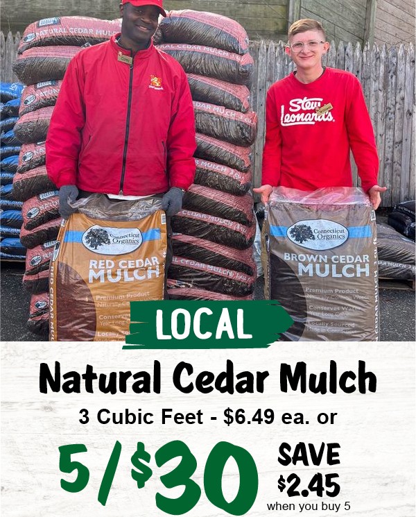Great day to get some spring gardening done! 🌻 Check out our Garden Shop specials good thru this Tuesday at stewleonards.pulse.ly/kznrxqwvre #spring #gardenshop #gardening #stews