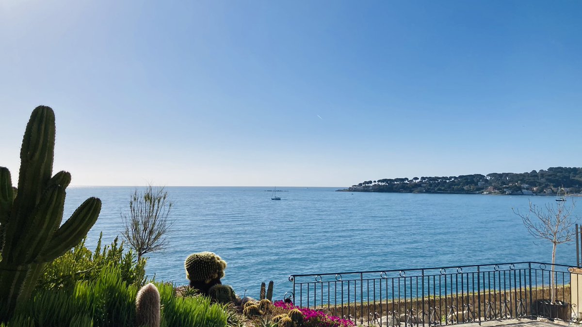 ☀️ entre le soleil du matin, les senteurs 🫒du Marché Provençal 🍊🥬, un passage par la boulangerie pour 🥖 un peu de pain & de la pissaladière puis un détour par les remparts pour une vue sublime✨ sur la mer depuis le balcon de la place du Barri
#AntibesJuanLesPins #ChezNous