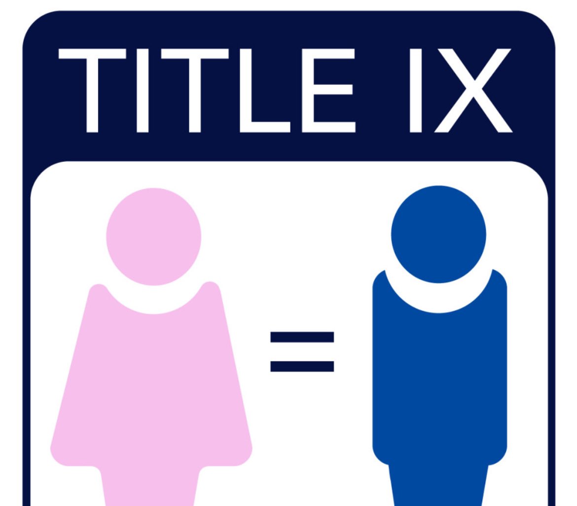 Nareen Clute tweet media