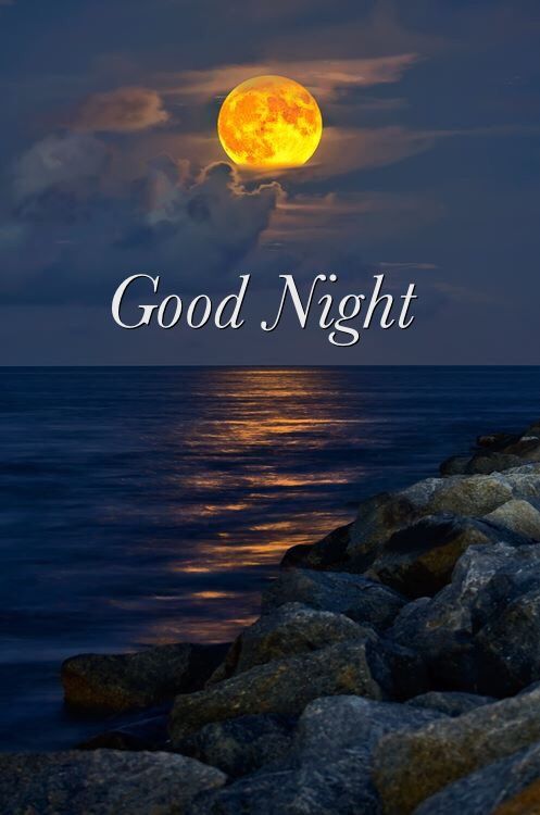 Miky_Butterfly (@tinasmiky24) on Twitter photo 