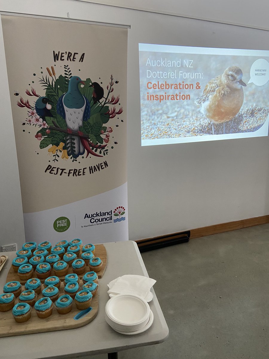 Kicking off the 10th annual Auckland NZ dotterel minders forum!