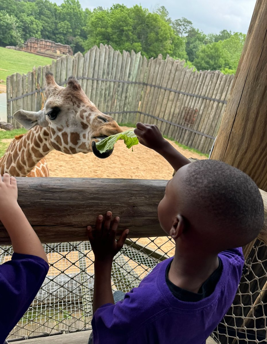 CarthagePrimary's tweet photo. This past week, our 𝑲𝒊𝒏𝒅𝒆𝒓𝒈𝒂𝒓𝒕𝒆𝒏 𝑪𝒍𝒂𝒔𝒔𝒆𝒔 had a 💥blast💥 at the Caldwell Zoo in Tyler! Thank you to the Carthage ISD Education Foundation for allowing our students to LEARN and have FUN at the same time! 🐘🐆🦜❤️🐾 #WhereBulldogsBegin https://t.co/ChLKyogCSV