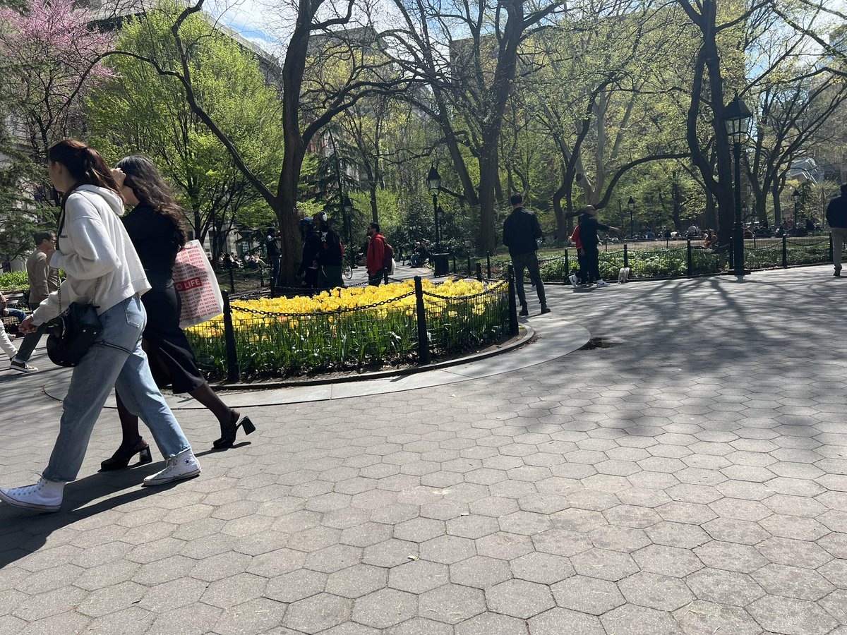 Walked the Brooklyn Bridge to see the one and only @lauragreymatter who joined us for brunch with local law prof celebrity @DorfmanDoron. The Strand, gelato, and Wash Sq Park have made this an amazing day.