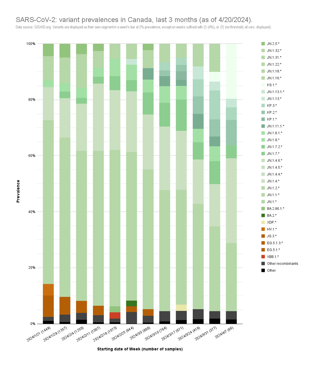 UPDATED: #Canada #SARSCoV2 variants. Of 66 samples from 4/7 - 4/13, JN.1.11.1.* represented 13.6% (⬇️ 19.9% of 377, 3/31 - 4/6), & JN.1.13.1.* 22.7% (⬆️ 6.6%, w.o. 3/31). For descendant variants (KP.2, KP.3, KS.1) see alt text. anarchodelphis.tumblr.com/CanadaVariants #COVID19