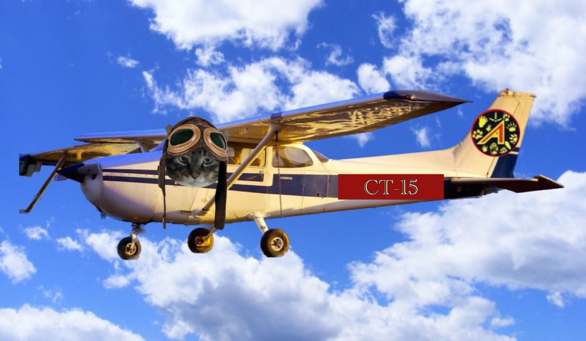 barbeydoll65's tweet photo. @KKC255 Wez here ready for tribute flight , ✈️ 🌈we shall  remember them always 🤍, Captain Fanta Captain Zellie and Captain Romeo 
#TheAviators 
#Tributeflight https://t.co/MkD76iUTns