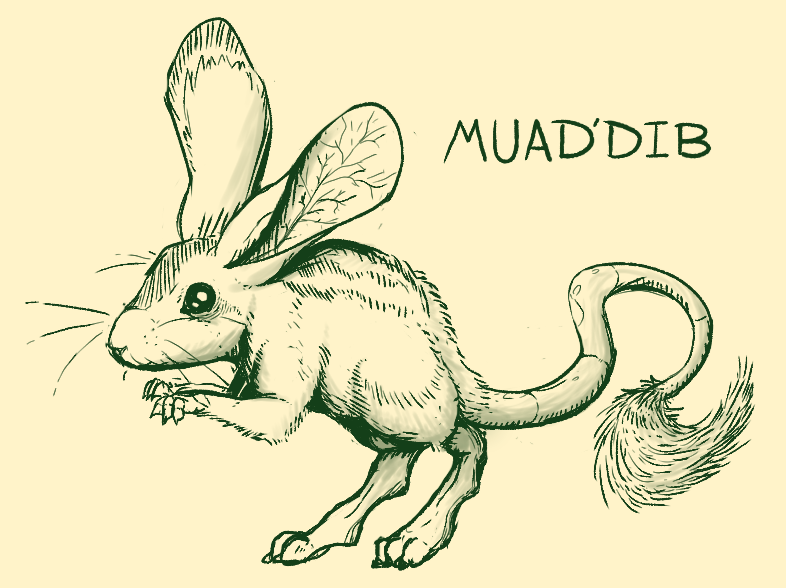 Duke The Ferret tweet media