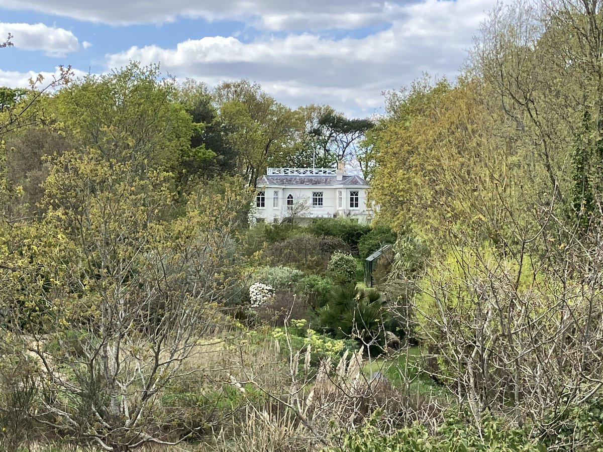 This house just appeared out of nowhere on a walk today. I’m hoping it has a fantastical long history of secrets, parties, murders, and ghosts.