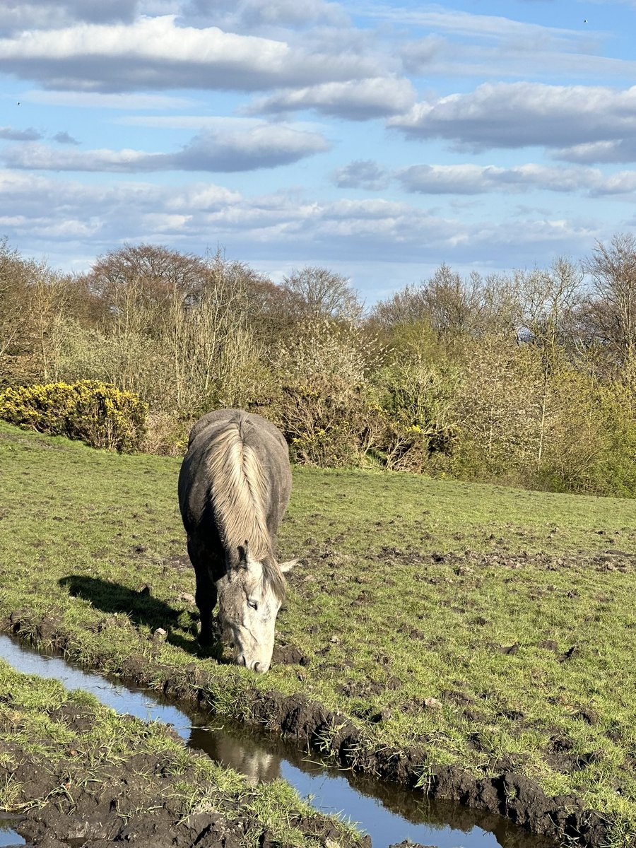 EETCEO's tweet image. I love where I live especially when the sun is shine, it’s been good to get out and enjoy it today #weekendwalks #wellbeing