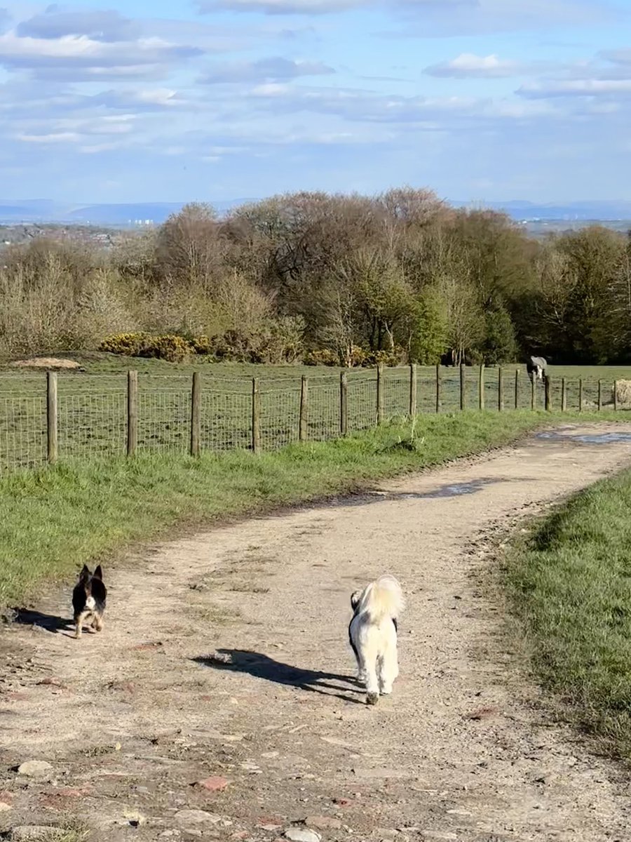 EETCEO's tweet image. I love where I live especially when the sun is shine, it’s been good to get out and enjoy it today #weekendwalks #wellbeing