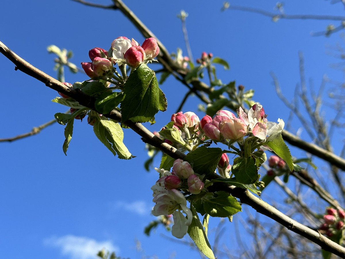 EETCEO's tweet image. I love where I live especially when the sun is shine, it’s been good to get out and enjoy it today #weekendwalks #wellbeing