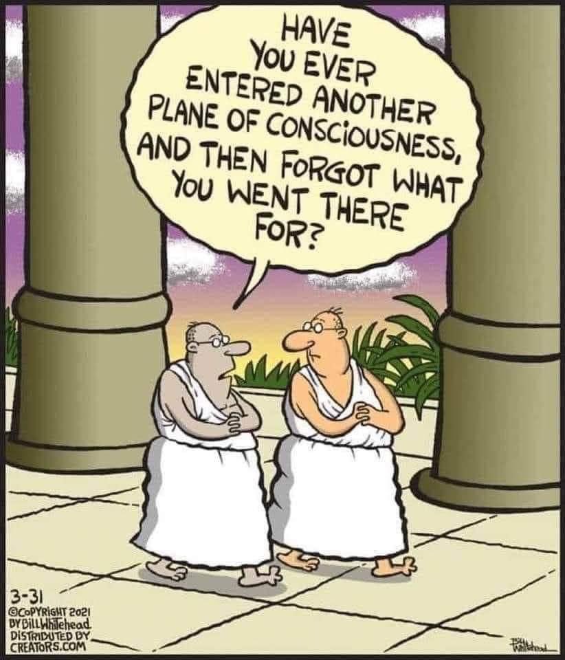 Soulseedzforall's tweet image. Everyone day 😊😊