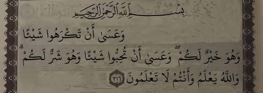 RahmaRaafat3's tweet photo. https://t.co/ZvGqEAXfHt